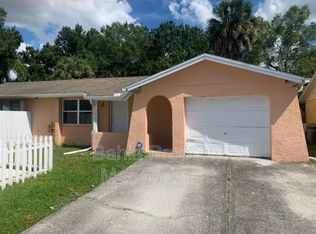 10101 Chapel Hill Ct, Tampa, FL 33615