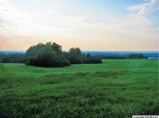 1881 Sawmill Rd, Blountsville, AL 35031