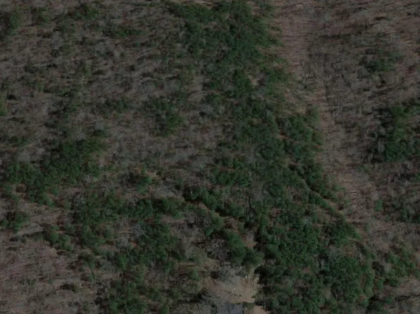 4747 Fairway Ln #2.001, Pinson, AL 35126