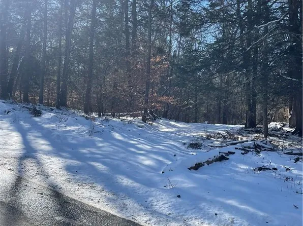 Lot 12 Tyler Road, Cochecton, NY 12726