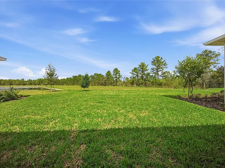 12893 Harvest Rain Ave — Photo 48