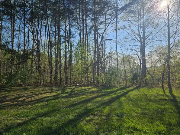 Woolwine Hwy, Woolwine, VA 24185
