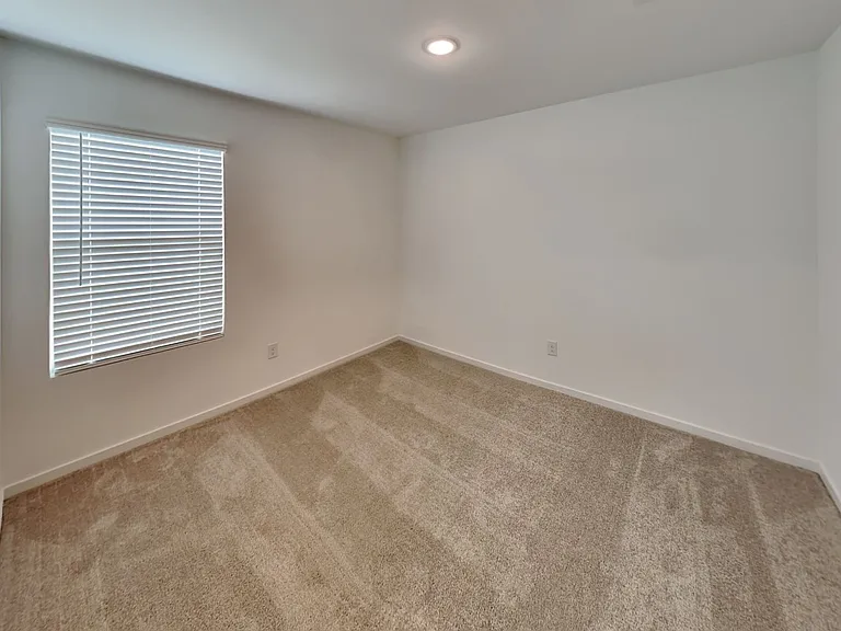 1925 Honey Locust Dr — Photo 14