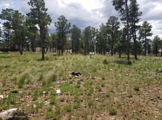 106 Lakeview Ct, Ruidoso, NM 88345