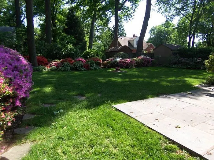 Yard