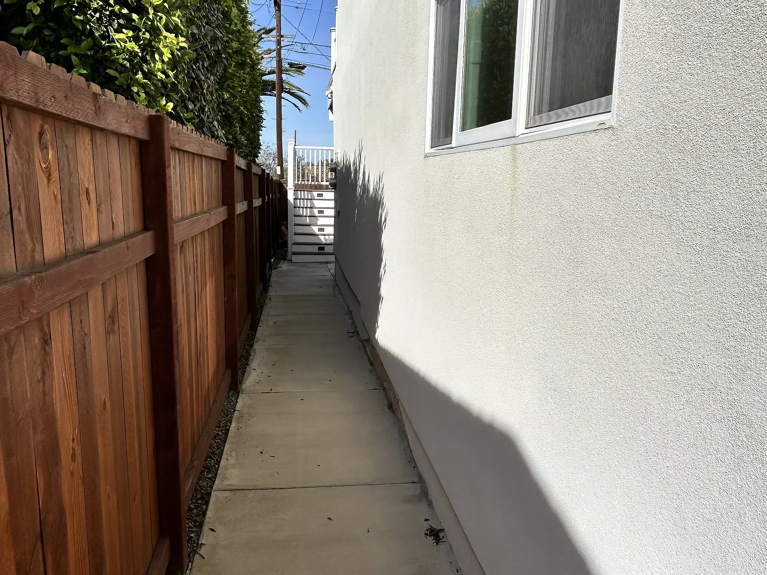 1 bed, 700 sqft, $3,000 — Photo 2