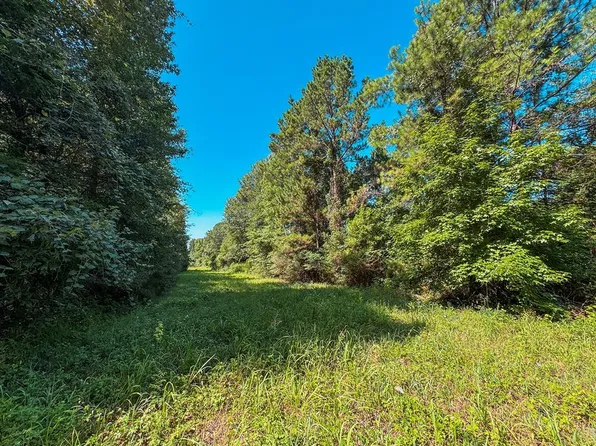 Fm 319, Elkhart, TX 75839