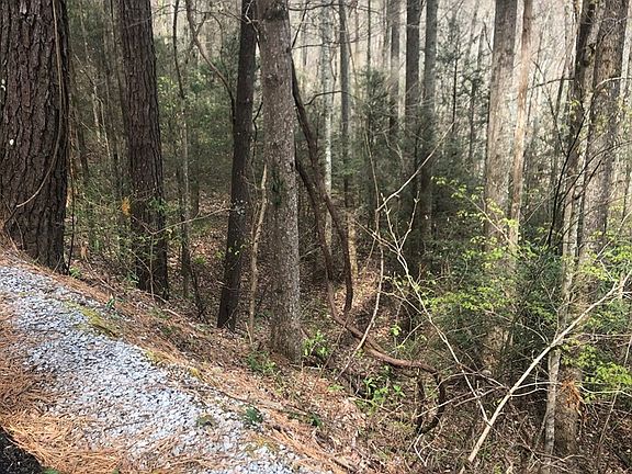 5th image of 28 Wildcat Ridge Rd Lot 28