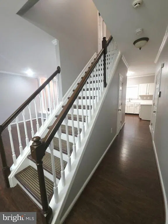 3 bed, 2.5 bath, 1836 sqft, $3,100 — Photo 4