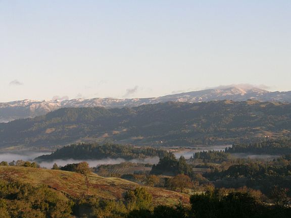 View from the Deck - Alexander Valley Mist