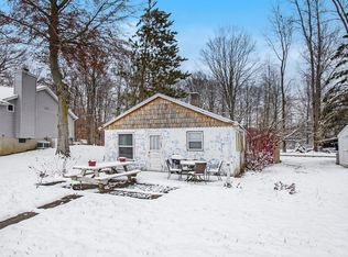22590 Lake Dr, Pierson, MI 49339