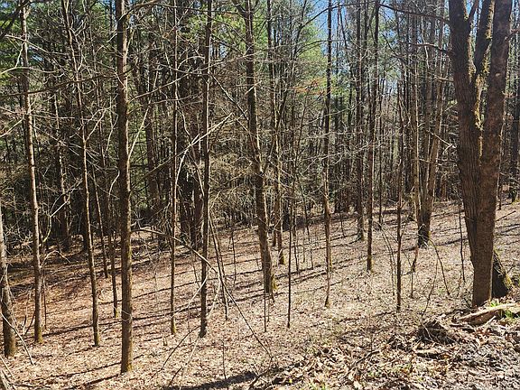 2nd image of 114 Tarbell Hill Rd