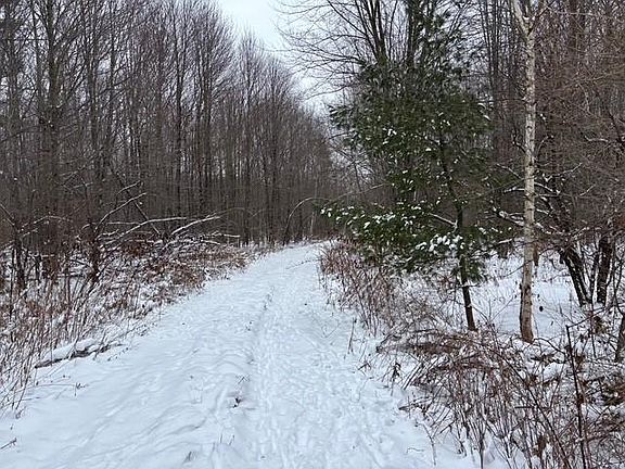 5th image of On Cth G