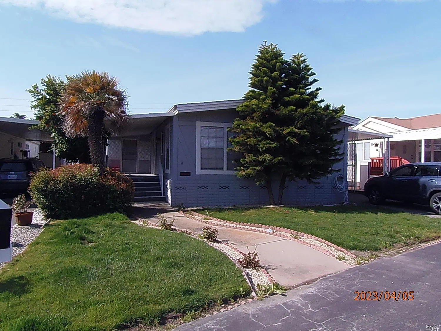 11 Palm Drive photo 1