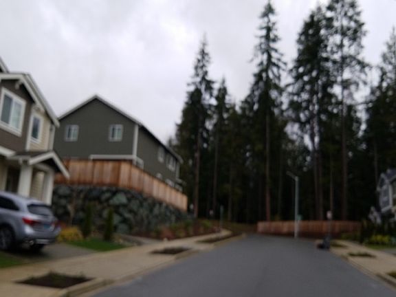 4th image of 12411 54th Dr SE