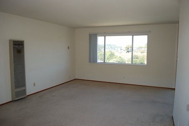 Bright Living Room