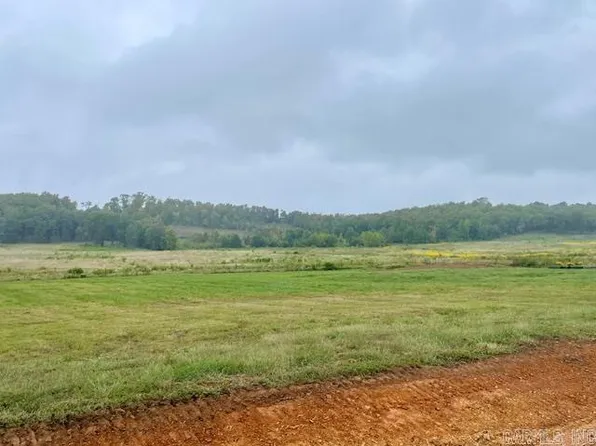 135 E Republican Rd, Greenbrier, AR 72058