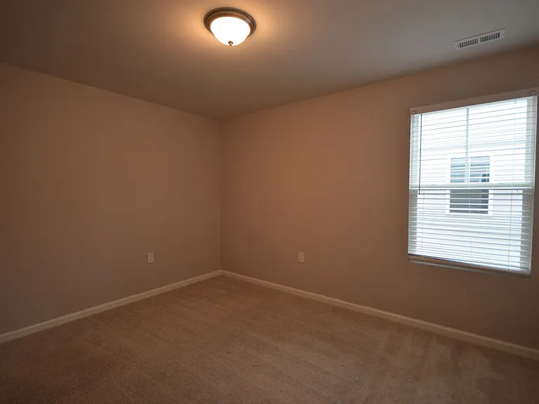 4229 Olde Waverly Way — Photo 27