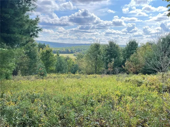 0 Hubbard Hill Rd #6, Maryland, NY 12116