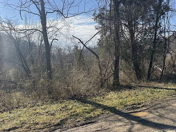 2nd image of 380 Frogs Creek Rd