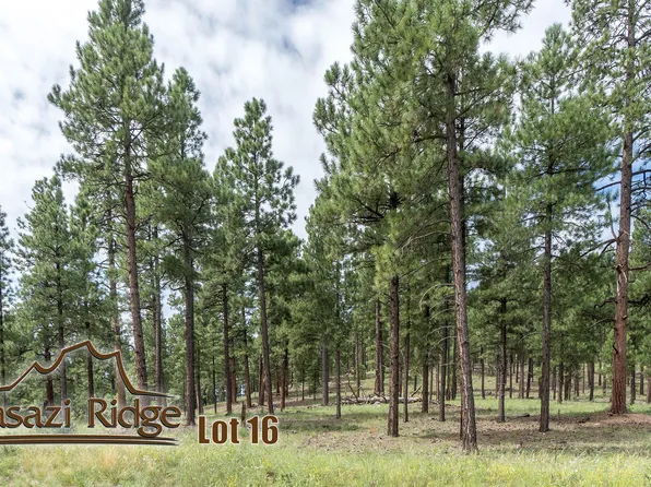 2097 N Cobblestone Cir, Flagstaff, AZ 86001
