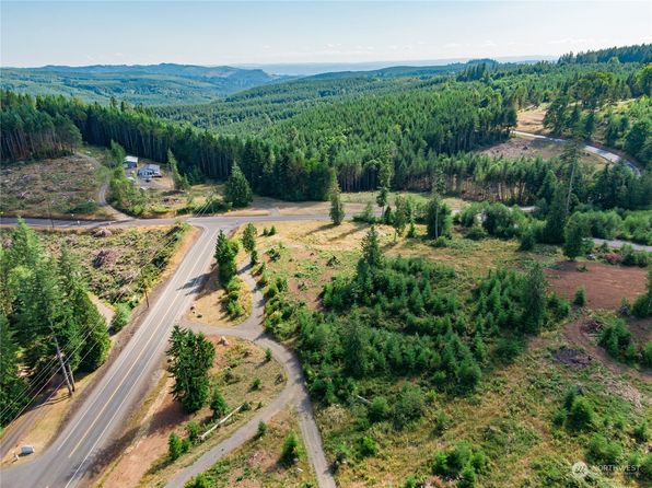 0 S Silver Lake Lot 8 Road, Castle Rock, WA 98611