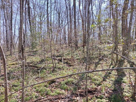 5th image of 465 Huse Watson Rd