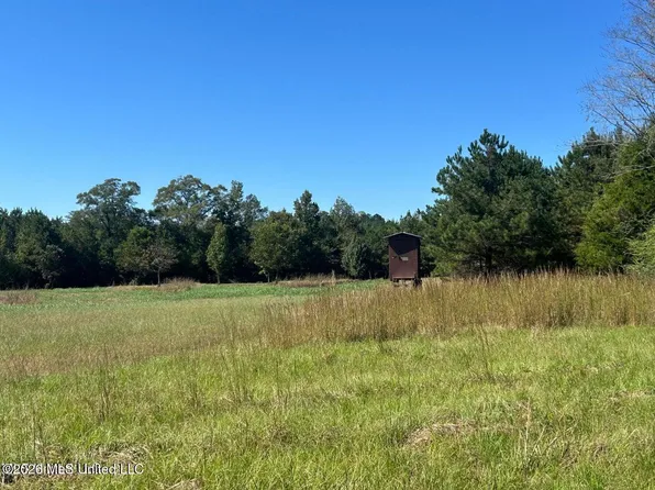 72AC Skyline Rd, Meridian, MS 39301