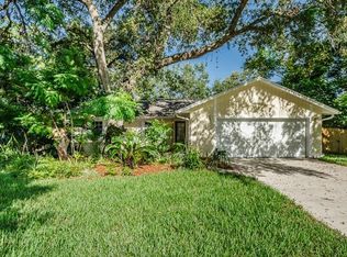 281 Mae Ct, Palm Harbor, FL 34683