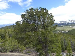 1000 American City Rd, Black Hawk, CO 80422
