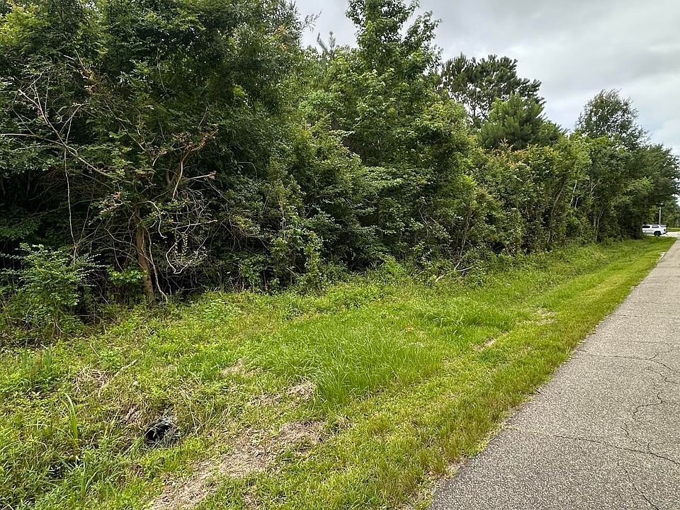 2nd image of Forrest Ave