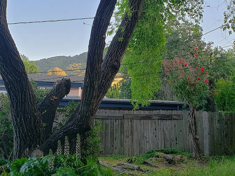 304 La Canada Dr — Photo 9
