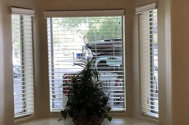 1 bed, 200 sqft, $650 — Photo 2