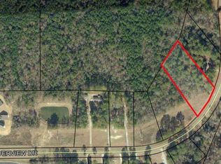 0 Riverview Dr Lot 12, Dublin, GA 31021