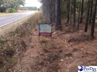 3956 W Cummings Rd, Timmonsville, SC 29161