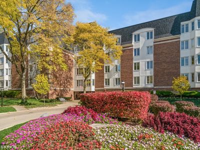 250 Lake Blvd APT 221, Buffalo Grove, IL, 60089