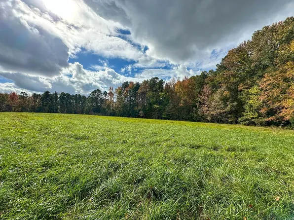691 Strawberry Ln, Buffalo Junction, VA 24529