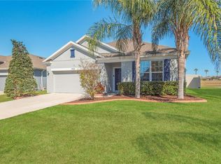 11908 Greenchop Pl, Riverview, FL 33579