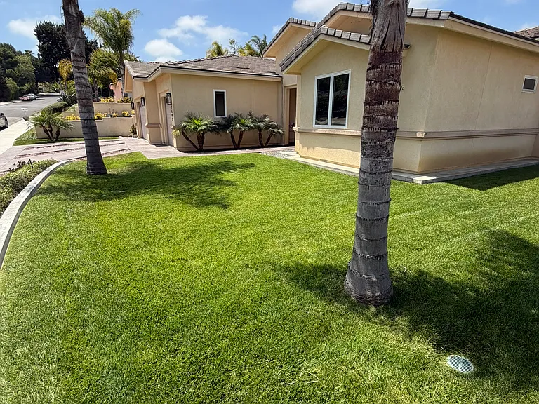 7603 Romeria St — Photo 34