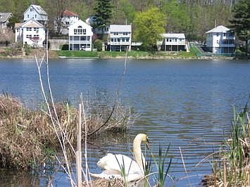 3rd image of 6 Lake Shore Ter #Cm4
