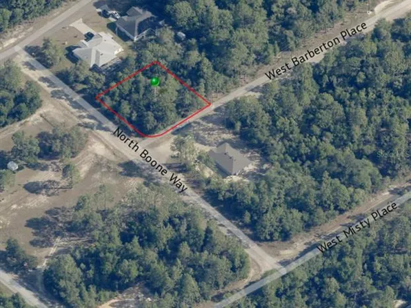3193 W Barberton Pl, Citrus Springs, FL 34433