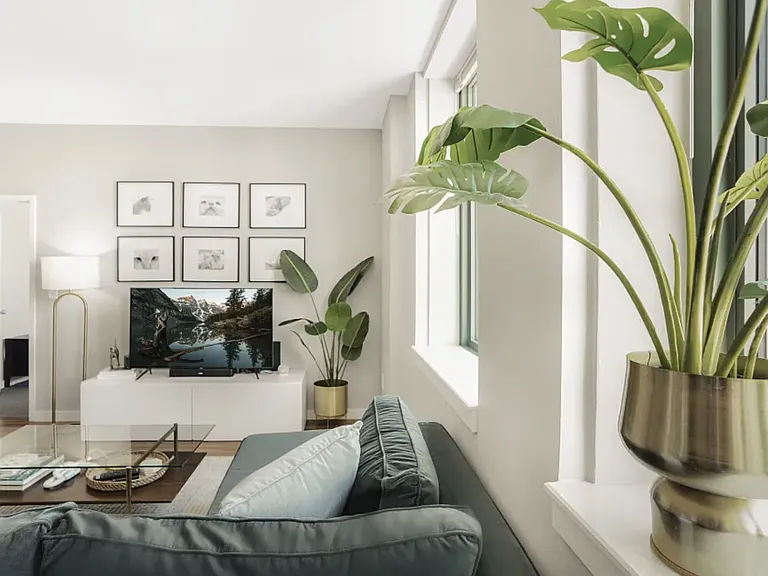 Park Pacific Luxury Apartments — Photo 18