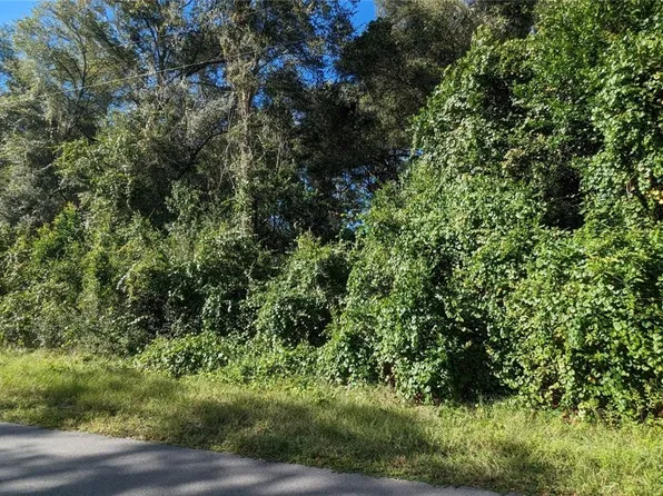 0 County Road 622, Bushnell, FL 33513