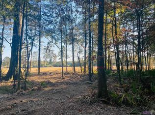 9050 Hillon Hood Rd, Denham Springs, LA 70726