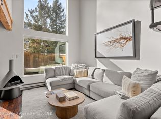 1024 E Cooper Ave APT 3A, Aspen, CO 81611