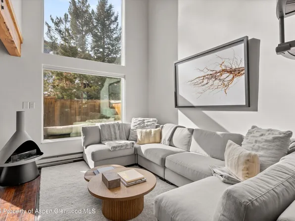 1024 E Cooper Ave APT 3A, Aspen, CO 81611