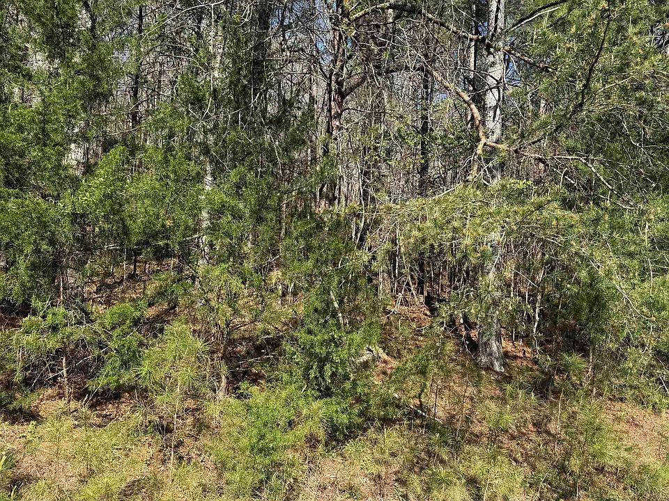 2nd image of 11-A County Rd #3782