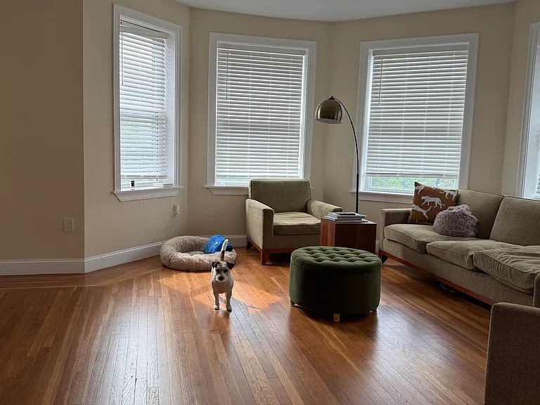 3 Alton Pl #2 — Photo 2