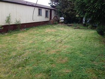 photo-211.jpg