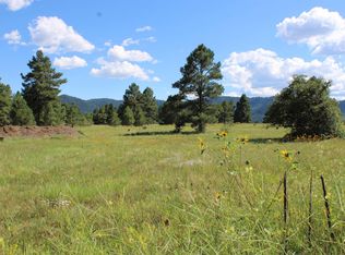 94 Convention Pl, Pagosa Springs, CO 81147